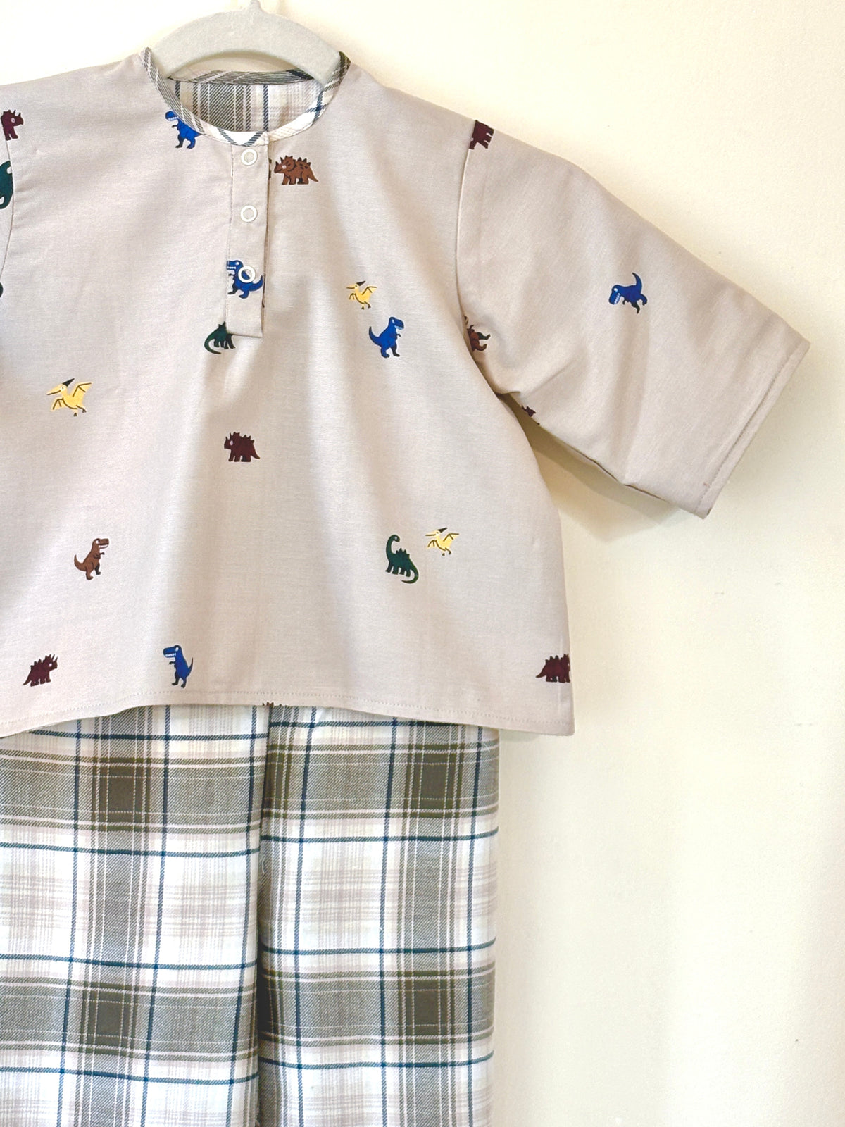 Vintage Dino Flannel Reversible Coords