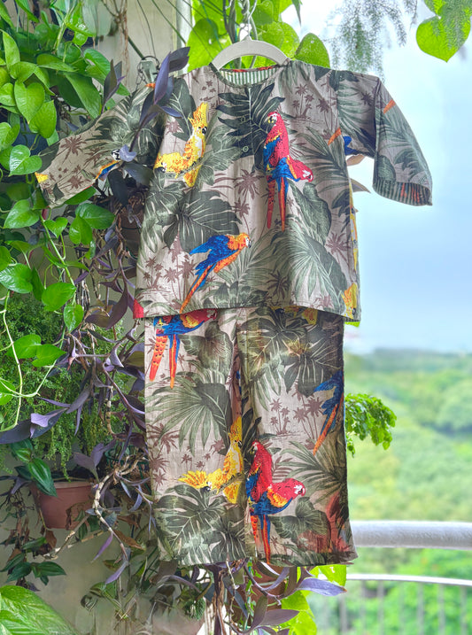 Olive Branch Reversible Coords