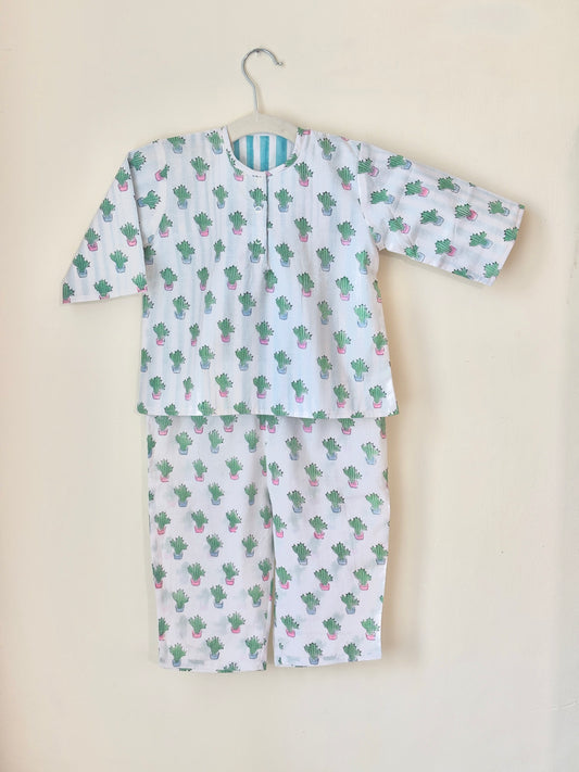 Cactus Oasis Reversible Coords